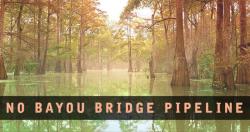 No Bayou Bridge Pipeline